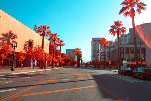 Art Galleries in San José | California