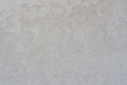 Stucco Wall: The Subtle and Silent Starlet